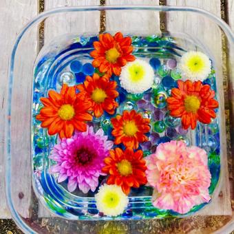 花 花の写真