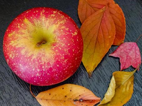 落ち葉とりんご3 りんご,落ち葉,黒盆の写真素材