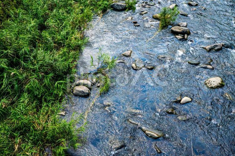 夏の川と森林 川,河川,せせらぎの写真素材
