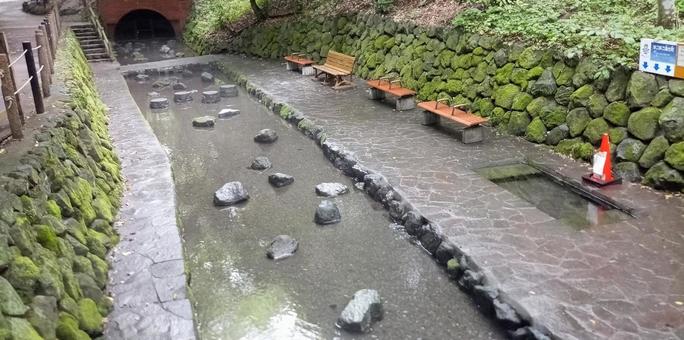 柿田川公園 湧水広場 柿田川公園 湧水広場の写真