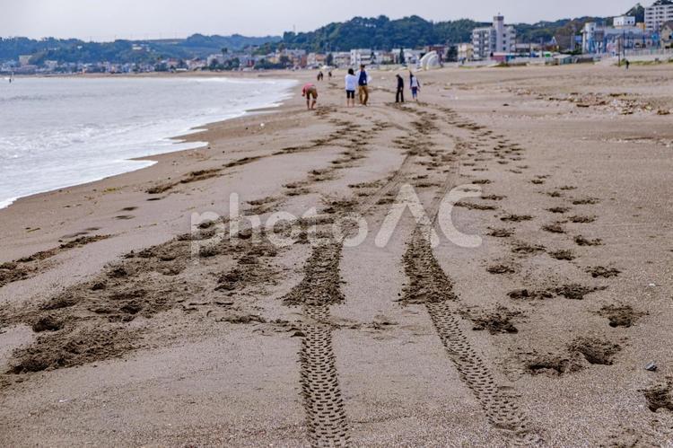 ［街角スナップ］秋の砂浜 轍,家族,砂浜の写真素材