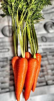 Photo, carrot, vegetables, fresh, 