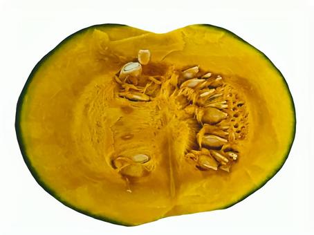 カボチャ かぼちゃ,南瓜,夏の写真素材