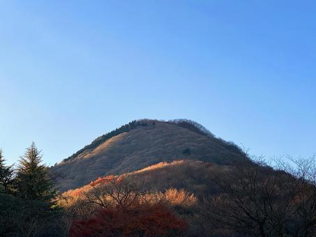 山 山 山,登山,樹木の写真素材