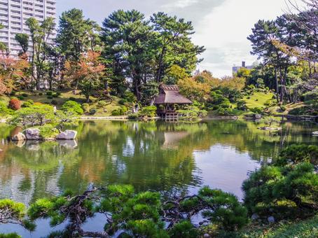 【広島県】広島市の縮景園 縮景園,広島県,広島市の写真素材
