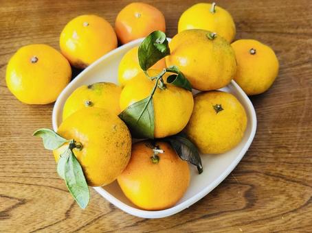 みかん② 果物,くだもの,冬の写真素材