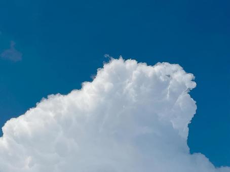 発達中の入道雲の写真