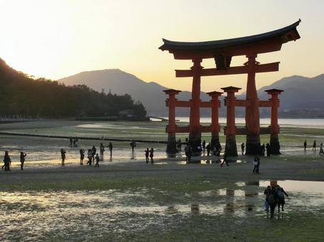 宮島の鳥居 宮島の鳥居の写真