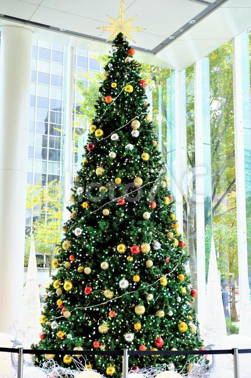 街のクリスマスツリー２ クリスマスツリー,インテリア,京橋の写真素材
