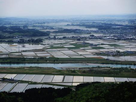春の越後平野 春の越後平野 越後平野,水田,田植え前の写真素材
