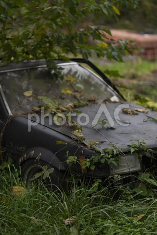 放置された車 自動車,放置,放置車の写真素材