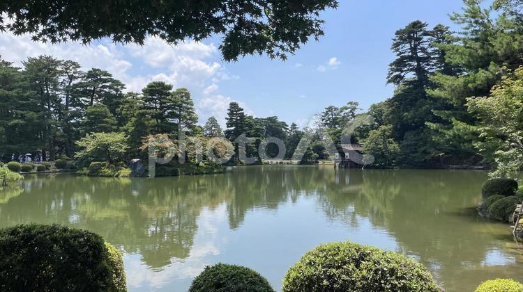【石川】兼六園の風景 兼六園,庭園,緑の写真素材
