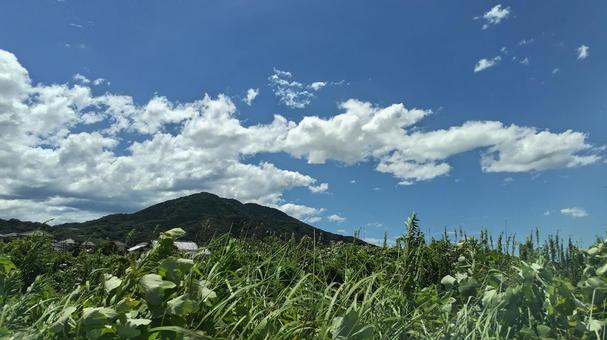 糸島の夏の景色 糸島の夏の景色の写真