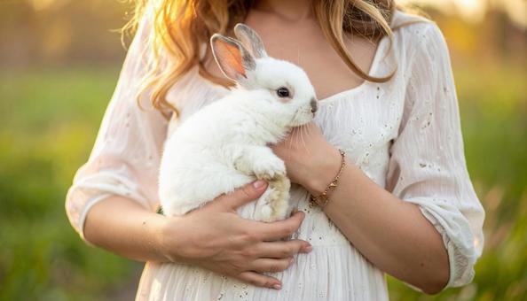 うさぎとの触れ合いの写真