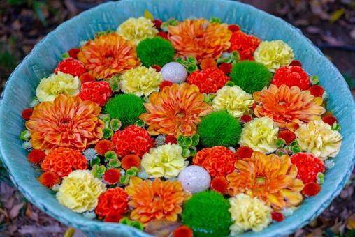 水面に咲く彩りの花々 花,フラワー,アレンジメントの写真素材