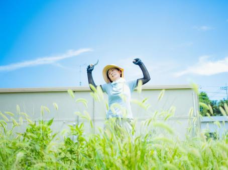 35：草むしりをする女性 草刈り,雑草,庭仕事の写真素材