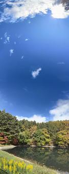 晩秋の大沢の堤の紅葉（パノラマ）の写真