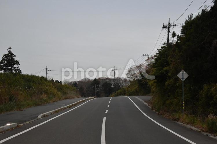 切り開かれた土地に作られた比較的新しい道 田舎道,田舎,道路の写真素材