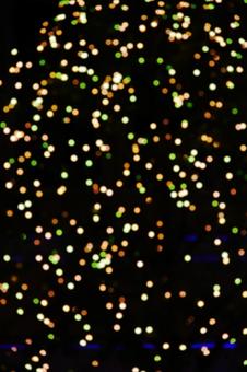 イルミネーション イルミネーション,光,キラキラの写真素材