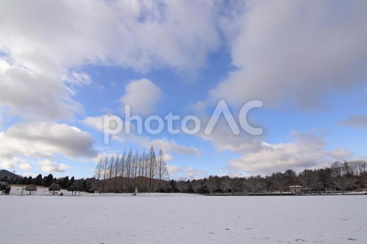 雪が降った公園と空　 アウトドア,冬,イメージの写真素材