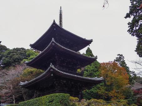 【滋賀県】大津市・三井寺 三井寺,園城寺,三重塔の写真素材