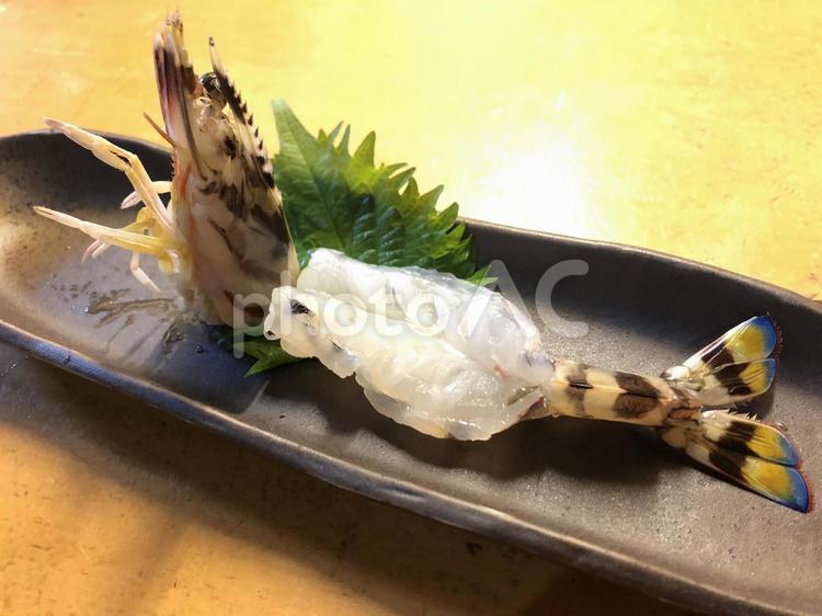 車エビの刺身 エビ,車エビ,綺麗の写真素材
