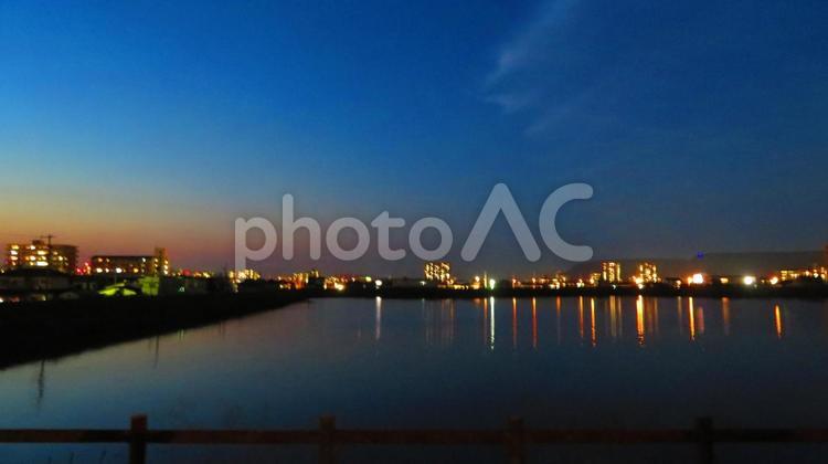 ６月上旬の野田池の夕暮れ 背景,夕暮れ,たそがれの写真素材