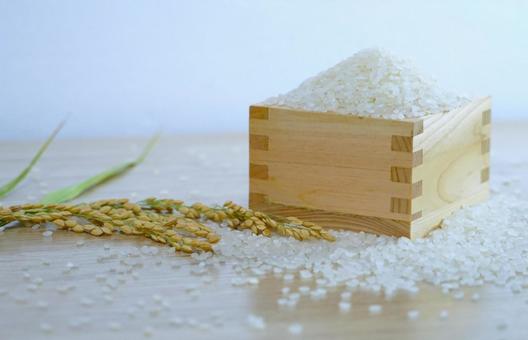 米&稲穂② 米&稲穂② 米,枡,食べ物の写真素材