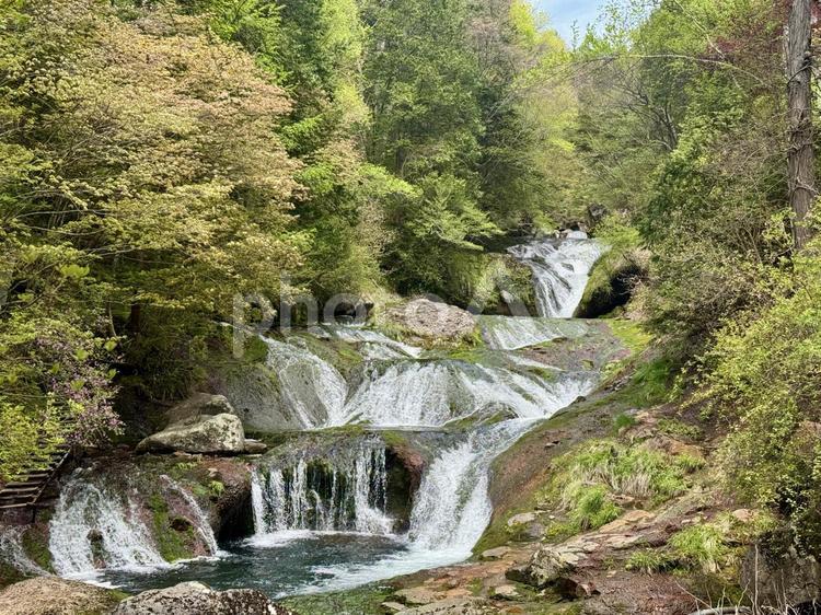 おしどり隠しの滝　長野県茅野市 おしどり隠しの滝,横谷渓谷,横谷峡の写真素材