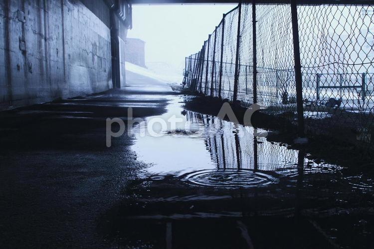 寒い冬の水たまり 水たまり,冬,風景の写真素材