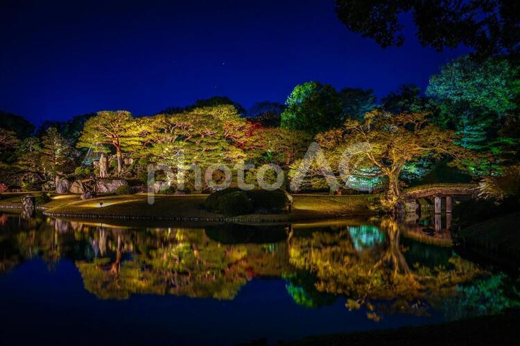 六義園の大名庭園（紅葉）２５ もみじ,ライトアップ,三大庭園の写真素材