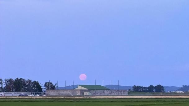 朝の月 朝の月の写真