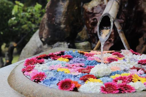 カラフルなお花とししおどし カラフルなお花とししおどしの写真