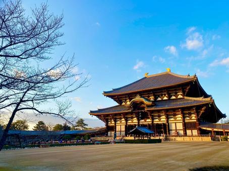 東大寺大仏殿 東大寺大仏殿 奈良,東大寺,境内の写真素材