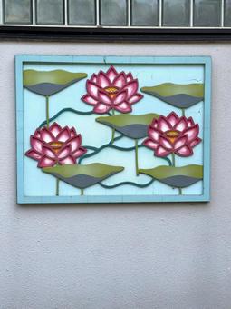Photo, lotus, lotus flower, wall, 