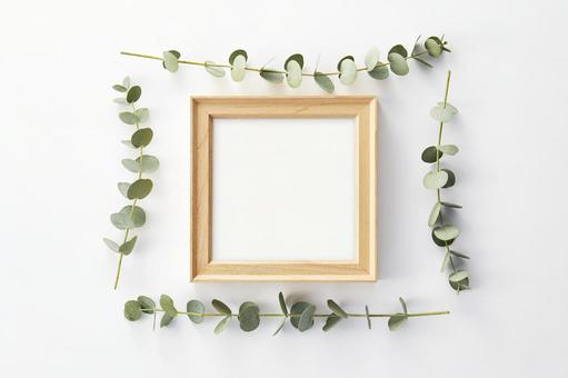 ユーカリ 白背景 木枠のフレーム ユーカリ 白背景 木枠のフレーム ユーカリ,葉,ボタニカルの写真素材