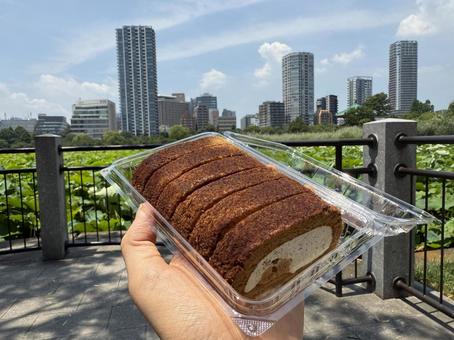 不忍池で食べるチョコロールケーキ 不忍池で食べるチョコロールケーキ ロールケーキ,ココア,お菓子の写真素材