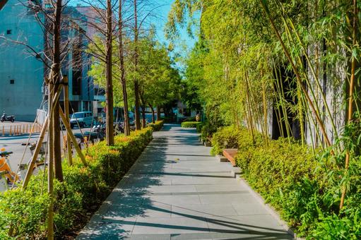 【台湾】台中の夏の公園 2025 【台湾】台中の夏の公園 2025の写真
