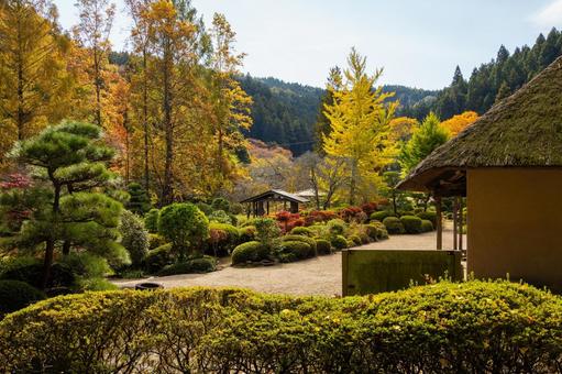 旧佐藤家住宅の秋⑴ 家,古民家,旧佐藤家住宅の写真素材