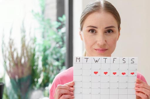 窓の前で月経期間を示すカレンダーを手に持っている女性 生理,月経,女性の写真素材