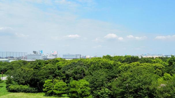 葛西臨海公園・緑の森&街並み(江戸川区) 葛西臨海公園・緑の森&街並み(江戸川区) 夏,葛西臨海公園,江戸川区の写真素材