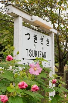 小湊鐵道 小湊鐵道 小湊鐵道,自然,景色の写真素材