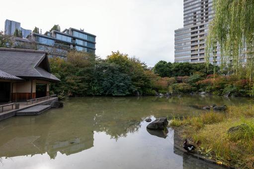 檜町公園 檜町公園,公園,赤坂の写真素材