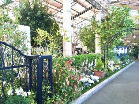 浜松フラワーパーク 浜松フラワーパーク 浜松フラワーパーク,植物園,花の写真素材