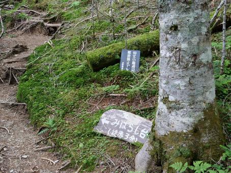 北沢峠 仙丈ケ岳登山道入口 北沢峠 仙丈ケ岳登山道入口 北沢峠,道標,南アルプスの写真素材