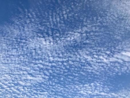 うろこ雲 うろこ雲の写真
