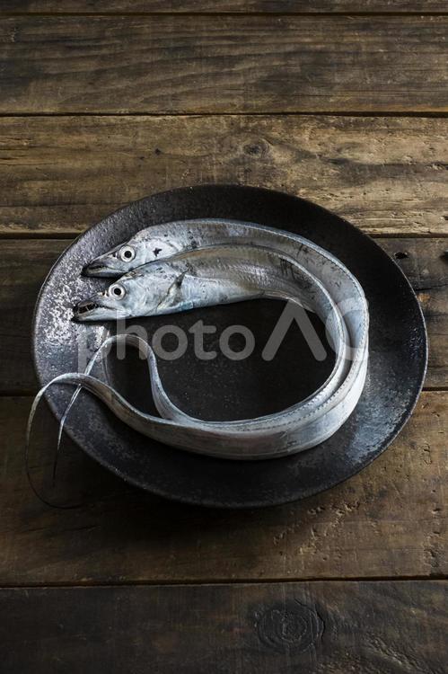 和食器の上のタチウオ_黒いお皿_二匹 タチウオ,太刀魚,たちうおの写真素材
