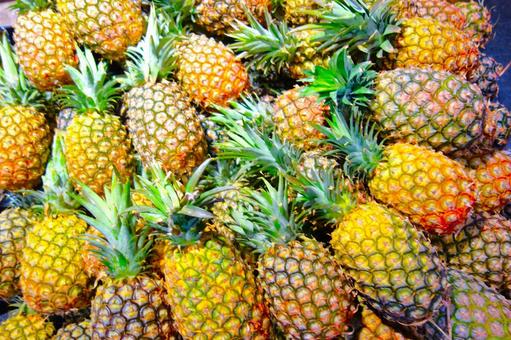 パイナップル 5 パイナップル,フルーツ,パインの写真素材