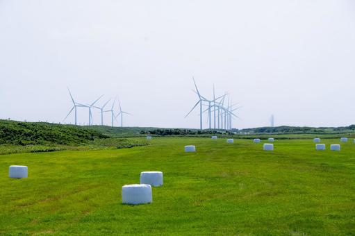風力発電所と牧草ロール 風力発電所と牧草ロール 風力タービン,風力発電,サイレージの写真素材