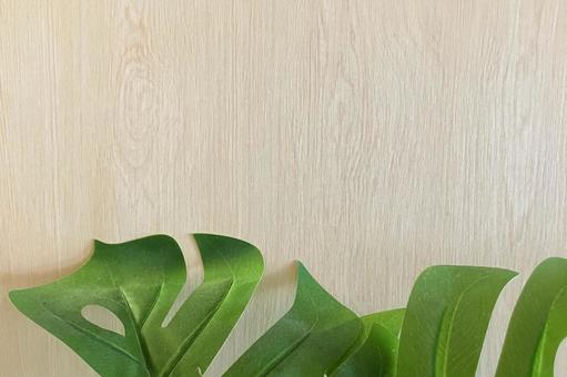 木目のテクスチャ 背景素材 木,葉,背景の写真素材